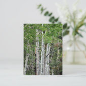 Birch Trees Mount Charleston Nevada  Briefkaart (Staand voorkant)