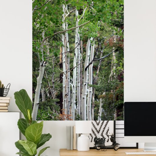 Birch Trees Mount Charleston Nevada Poster (Thuiskantoor)