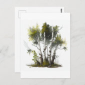 Birch Trees, the Birches Northern Ireland Briefkaart (Voorkant / Achterkant)
