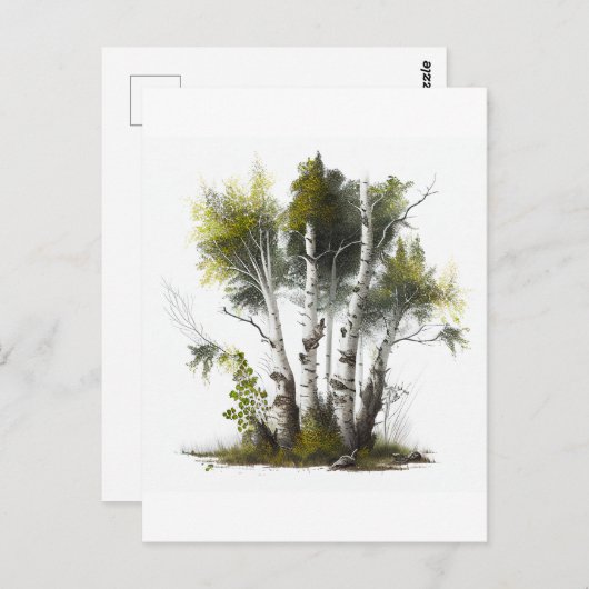 Birch Trees, the Birches Northern Ireland Briefkaart (Voorkant / Achterkant)