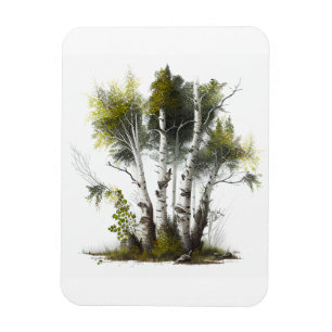 Birch Trees, the Birches Northern Ireland Magneet