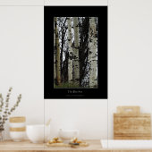 Birch Trees Wilderness Forest Foto's afdrukken Poster (Keuken)