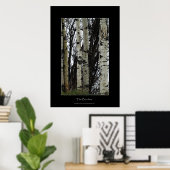 Birch Trees Wilderness Forest Foto's afdrukken Poster (Thuiskantoor)
