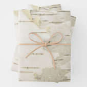 Birch Wrapping Paper Natuur Birch Bark Paper (In situ)