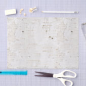 Birchbark Tissuepapier (Craft)