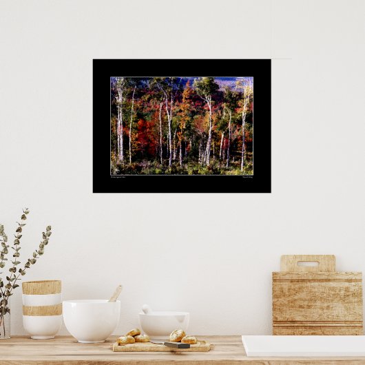 Birches tegen Poster in kleur (Keuken)