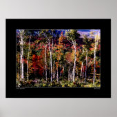 Birches tegen Poster in kleur (Voorkant)