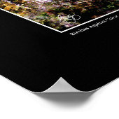 Birches tegen Poster in kleur (Hoek)