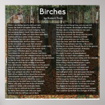Birches van Robert Frost Compleet gedicht/Birkenwa