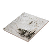 Birchschors 2330 tegeltje (Zijkant)