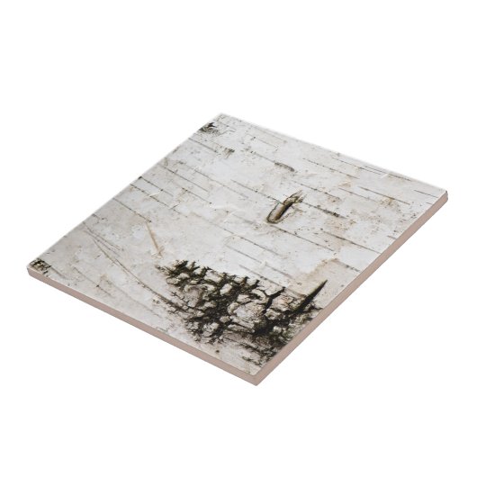 Birchschors 2330 tegeltje (Zijkant)