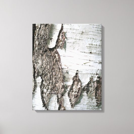 Birchschors Canvas Afdruk (Voorkant)