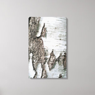 Birchschors Canvas Afdruk