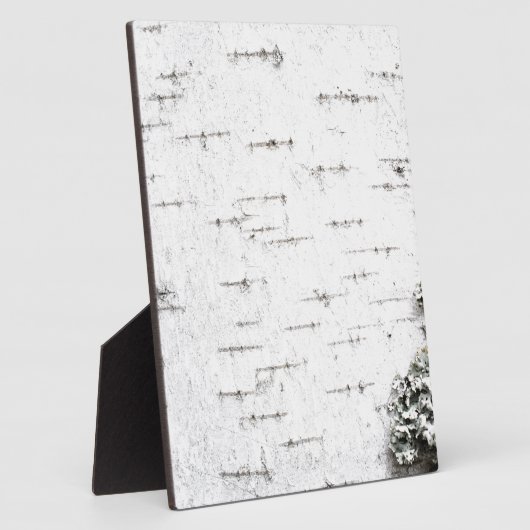 Birchschors Fotoplaat (Zijkant)