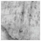 Birchschors Stof (Close Up)