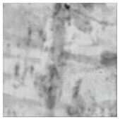 Birchschors Stof (Close Up)