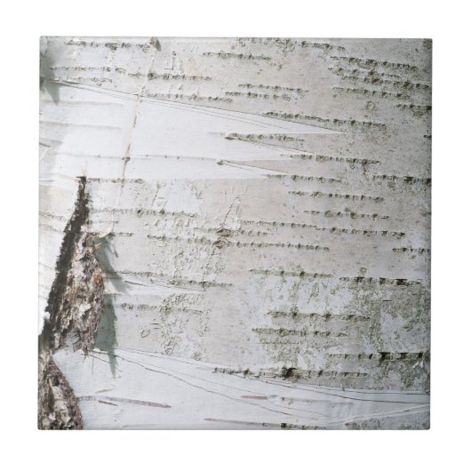 Birchschors Tegeltje (Voorkant)