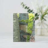 BirchTree Briefkaart (Staand voorkant)