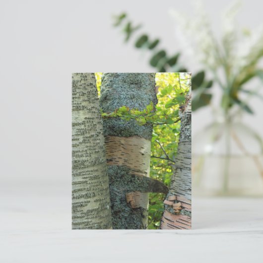 BirchTree Briefkaart (Staand voorkant)