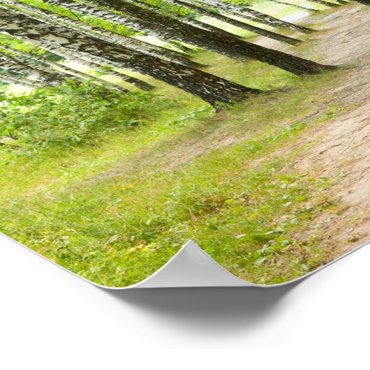 Birchwood Poster (Hoek)