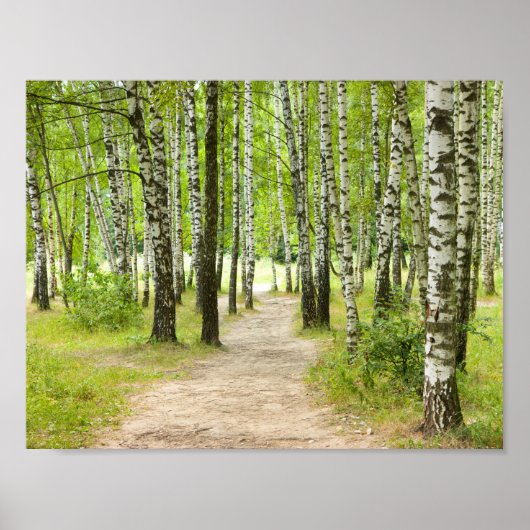 Birchwood Poster (Voorkant)