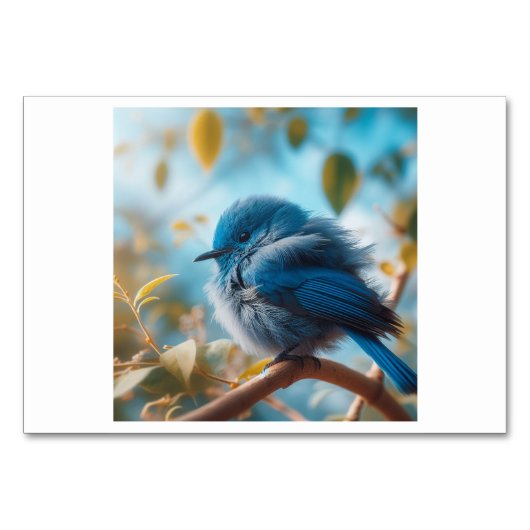 Bird (새) - Koreaanse Flash-Kaarten Kaart (Voorkant)