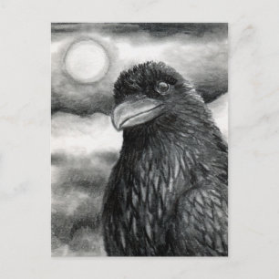 Bird 64 Crow Raven Briefkaart