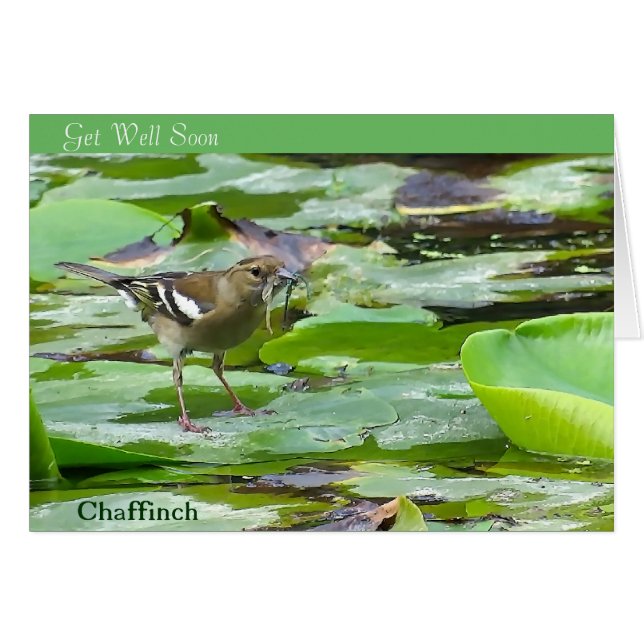 Bird afbeelding voor Get-Well-Card (Voorkant Horizontaal)