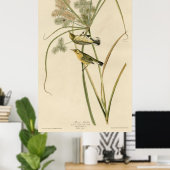 Bird, America, Prairie Warbler, Audubon, Vintage Poster (Thuiskantoor)