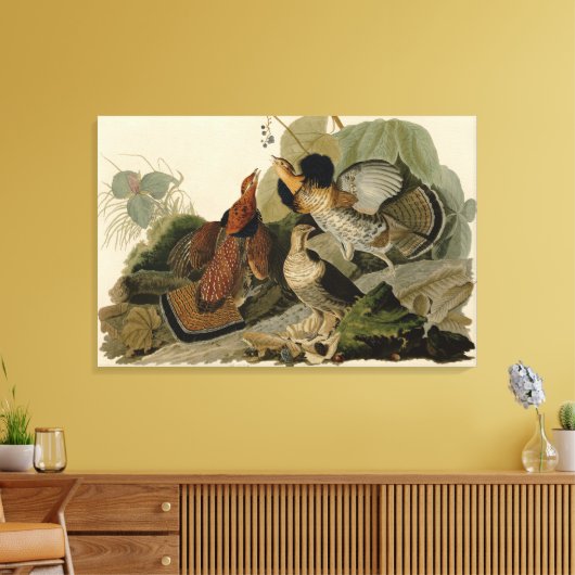 Bird, America, Ruffed Grouse, Audubon, Canvas (Insitu (Woonkamer))