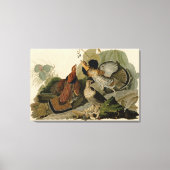 Bird, America, Ruffed Grouse, Audubon, Canvas (Voorkant)