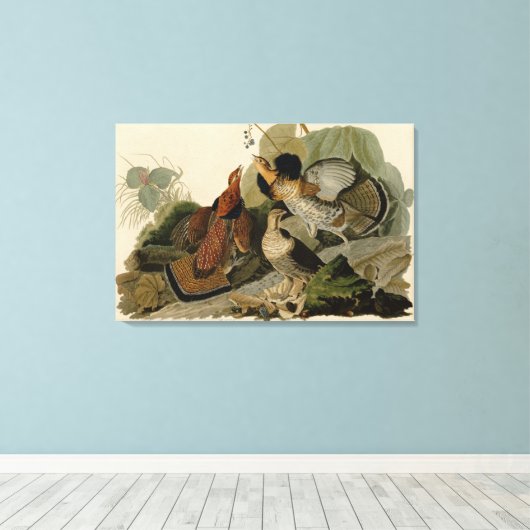 Bird, America, Ruffed Grouse, Audubon, Canvas (Insitu (Houten vloer))