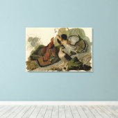 Bird, America, Ruffed Grouse, Audubon, Canvas Afdruk (Insitu (Houten vloer))