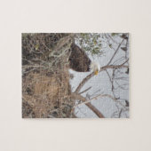 Bird American Bald Eagle Eaglet Nest Natuur Legpuzzel (Horizontaal)
