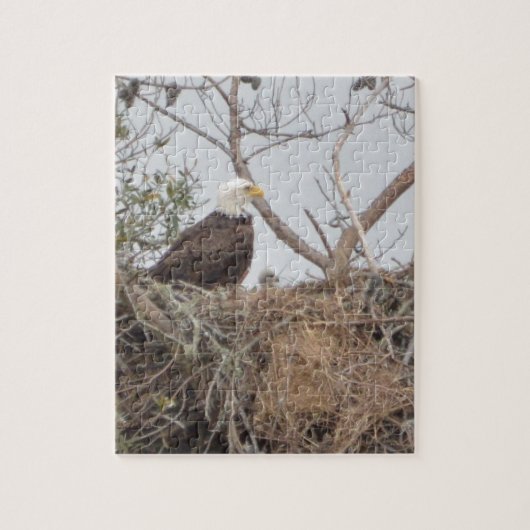 Bird American Bald Eagle Eaglet Nest Natuur Legpuzzel (Verticaal)