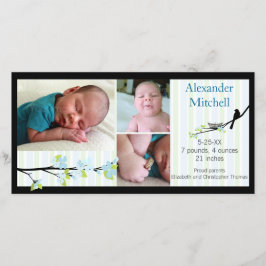 Bird and Blossoms in Blues Geboorteaankondiging Aankondiging