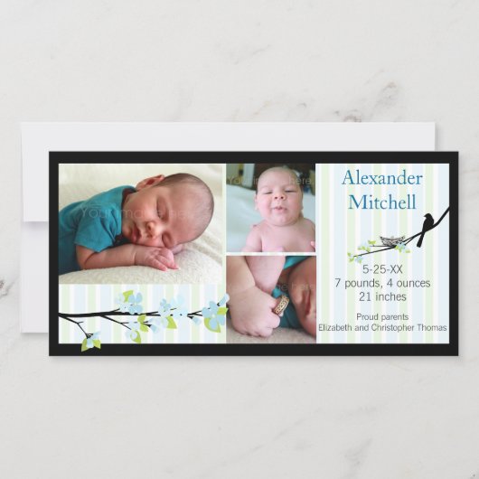 Bird and Blossoms in Blues Geboorteaankondiging Aankondiging (Voorkant)