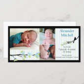 Bird and Blossoms in Blues Geboorteaankondiging Aankondiging (Voorkant / Achterkant)