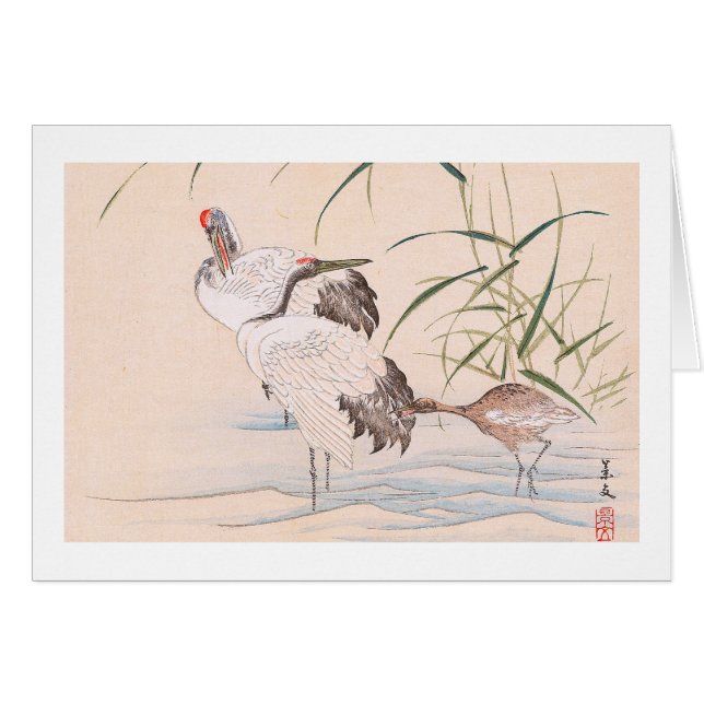 Bird and Flower Album, Wading Cranes  art (Voorkant Horizontaal)