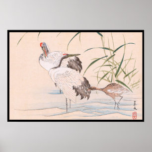 Bird and Flower Album, Wading Cranes art Poster