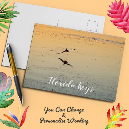 Bird and Reflection Flying Sunset Key West Florida Briefkaart