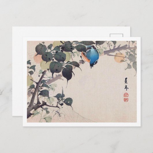 Bird and Spider, Imao Keinen Briefkaart (Voorkant / Achterkant)