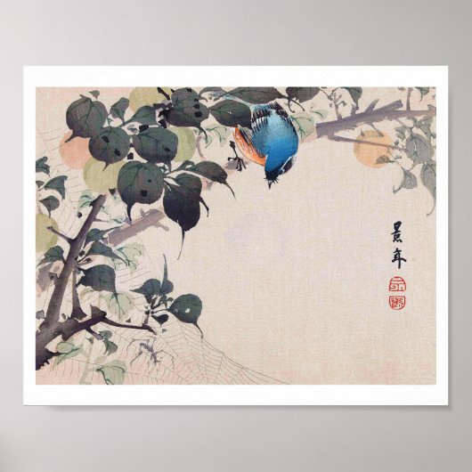 Bird and Spider, Imao Keinen Poster (Voorkant)