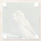 Bird Animal Foto Small Brown House Sparrow Glazen Onderzetter (Achterkant)