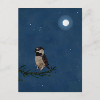 Bird Art, bij nacht met maan, Big Dipper, sterren Briefkaart