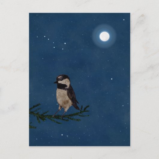 Bird Art, bij nacht met maan, Big Dipper, sterren Briefkaart (Voorkant)
