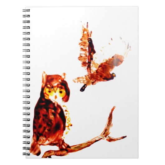 Bird Art Tawny Owls Notitieboek (Voorkant)