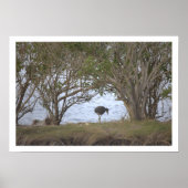 Bird at the Refuge Poster (Voorkant)