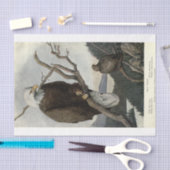 Bird Bald Eagle Ephemera Decoupage Tissuepapier (Craft)