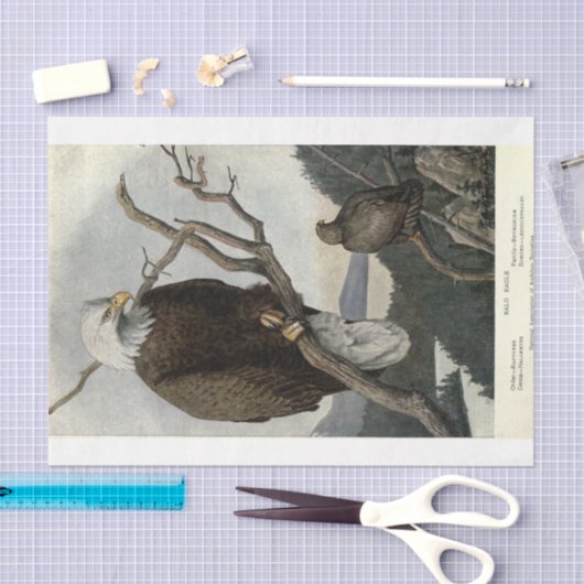 Bird Bald Eagle Ephemera Decoupage Tissuepapier (Craft)